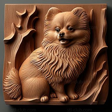 3D model st Pomeranian dog (STL)